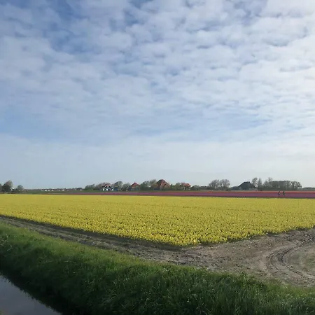 Casa vacanze Chalet 't Zand